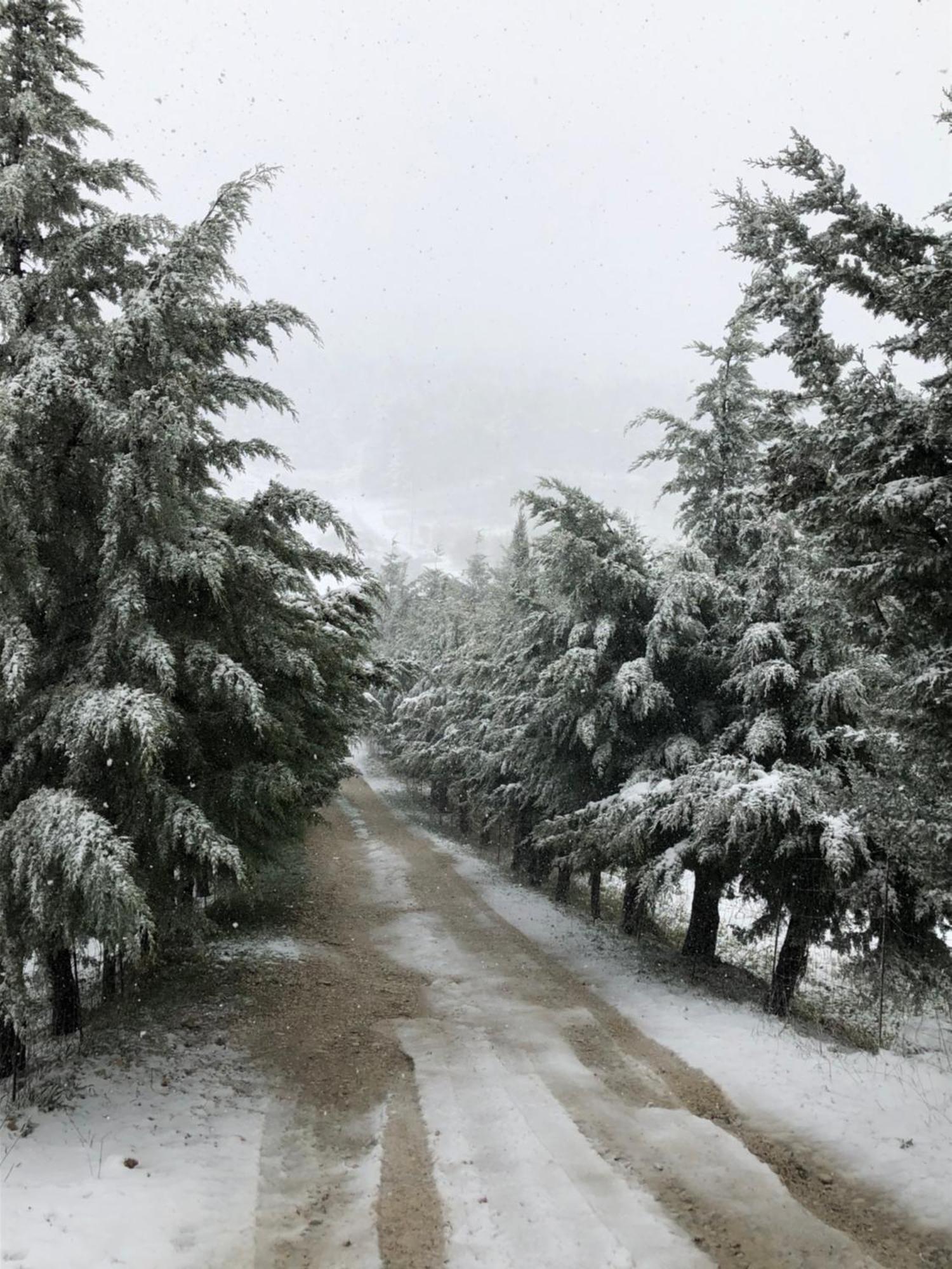 Agriturismo Serra Moneta Santo Stefano Quisquina المظهر الخارجي الصورة