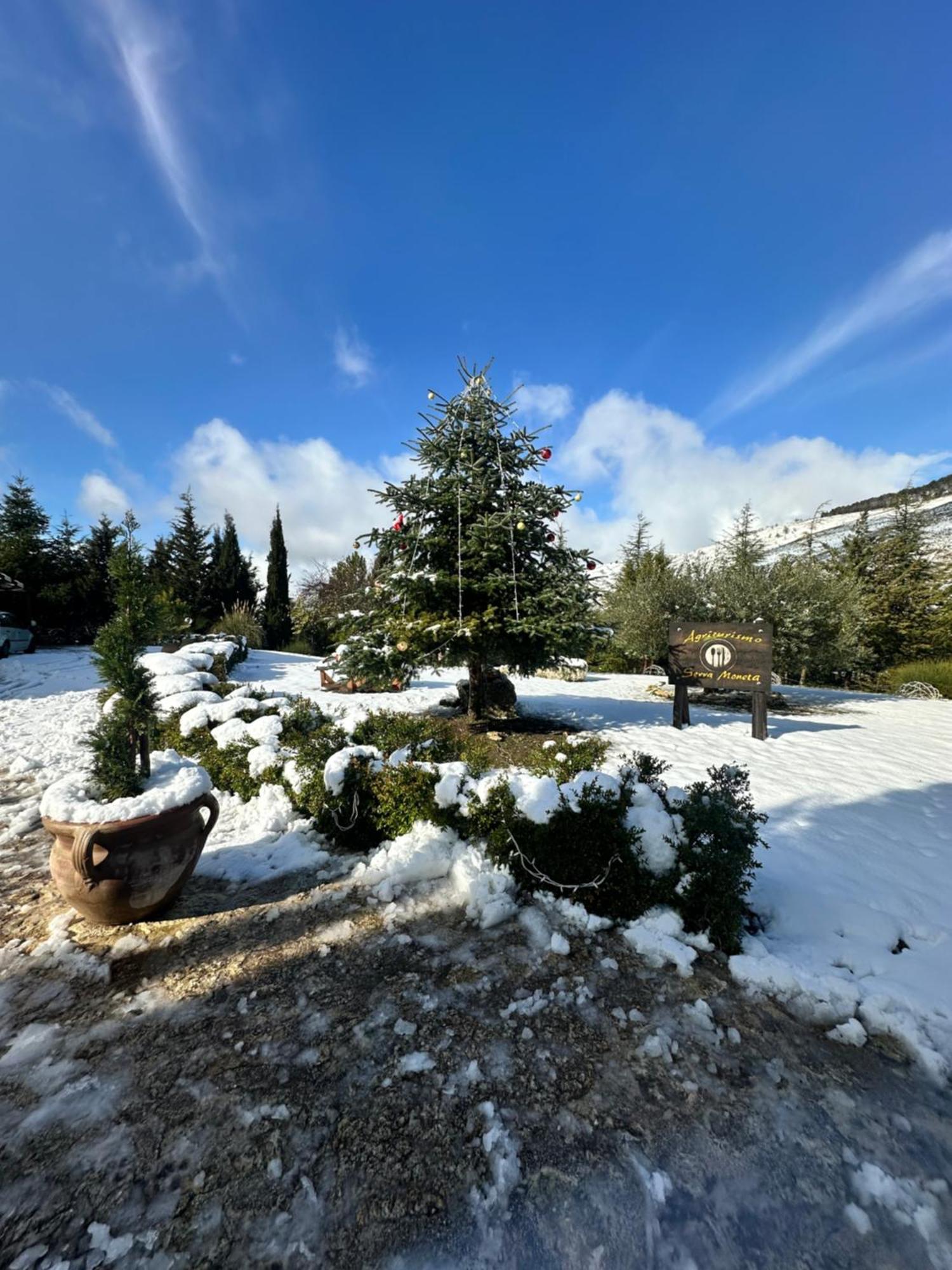 Agriturismo Serra Moneta Santo Stefano Quisquina المظهر الخارجي الصورة