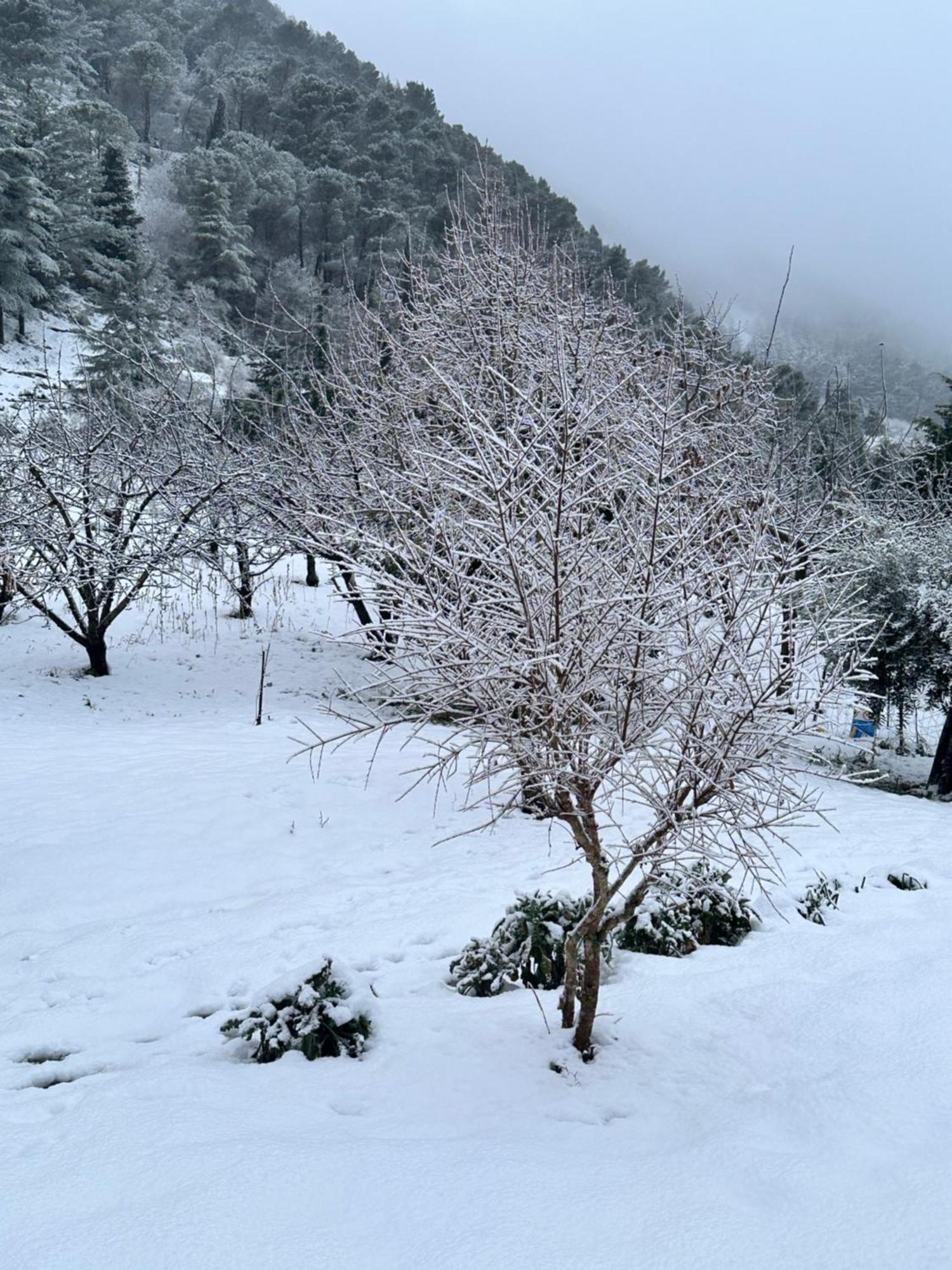 Agriturismo Serra Moneta Santo Stefano Quisquina المظهر الخارجي الصورة